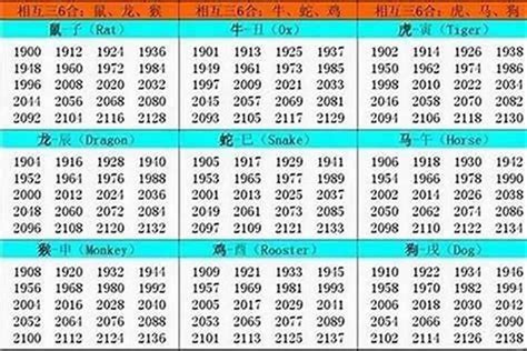 水狗命|1982年属什么 1982年属什么五行